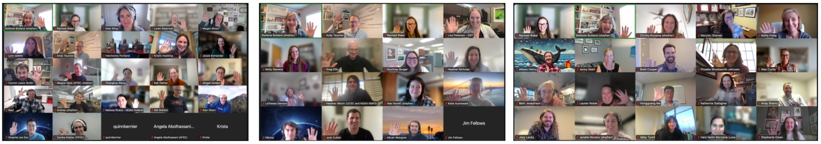 3 screenshots of zoom participants each in a 5 by 5 or 4 by 4 grid. People are smiling and waving.